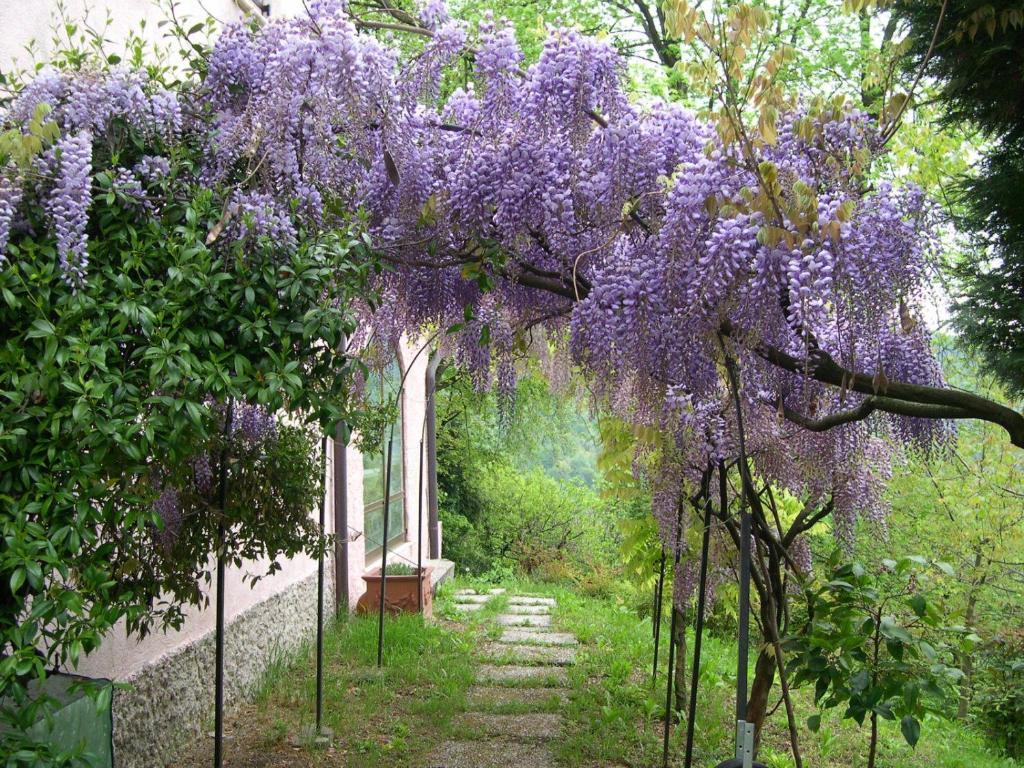 Follina B&B Four Winds מראה חיצוני תמונה